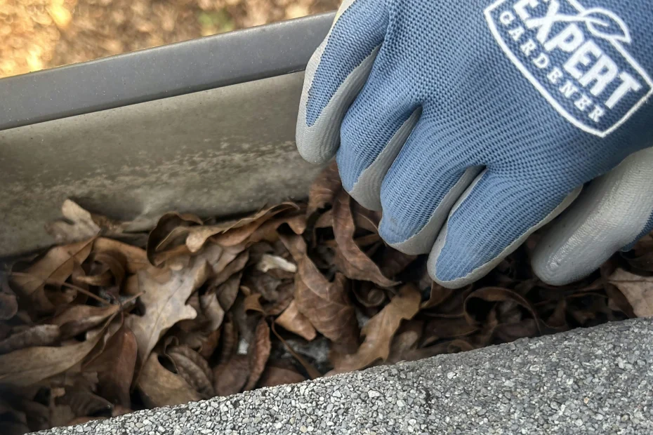 Gutter Cleaning Burnt Store